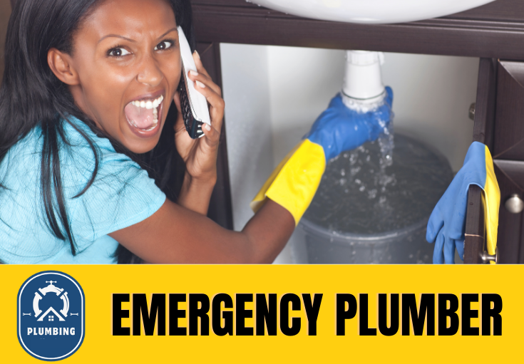 emergency plumber Sidcup