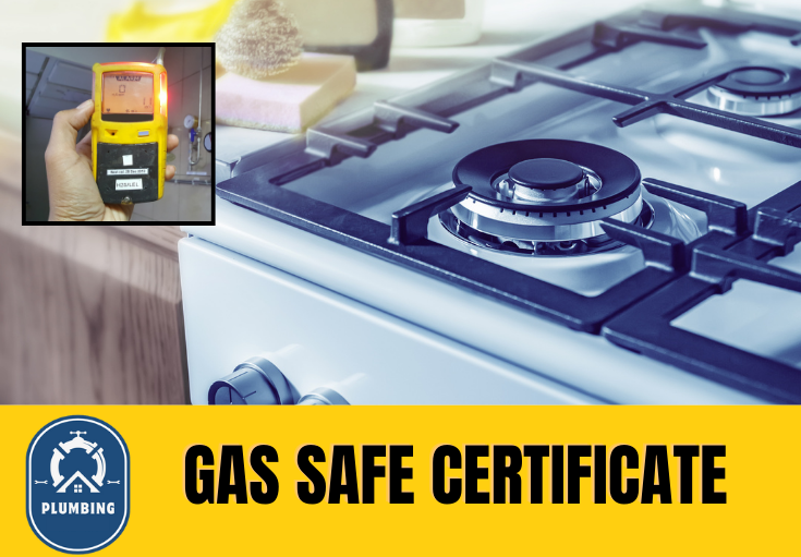 gas safe certificate Sidcup