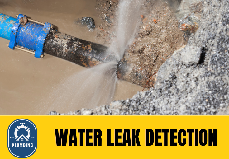 leak detection Sidcup